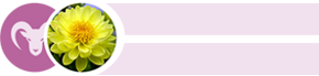 Signo Áries e flor Dália