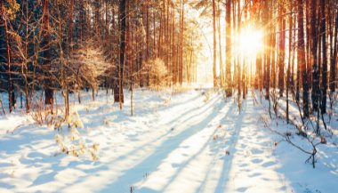 Solstício de Inverno: conheça esse fenômeno