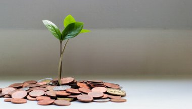 5 regras de ouro da prosperidade