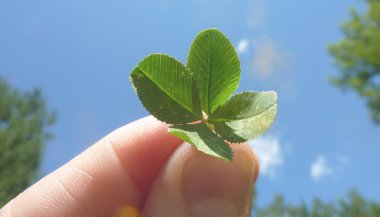 Em qual área da sua vida você terá sorte esse ano?
