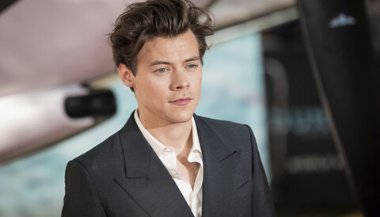 Harry Styles: signo e características