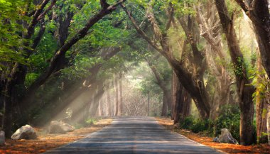 Os benefícios da natureza para cada signo