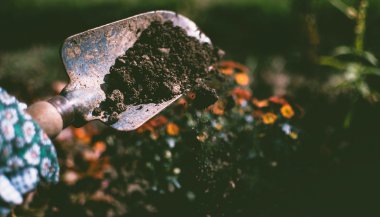 Sonhar com terra de cemitério