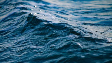 Sonhar com água do mar: compreenda seu significado