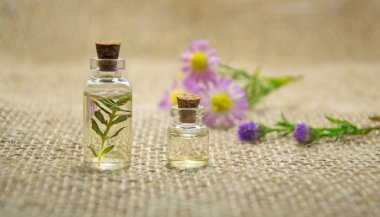 Aromas para aumentar a energia e disposição