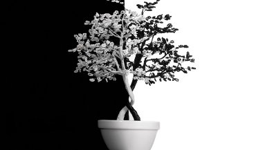 Organite e o equilíbrio dos ambientes