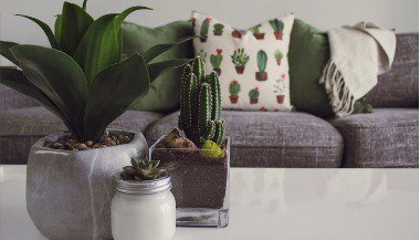 Feng Shui: dicas de decoração com tapetes