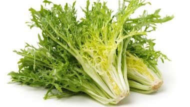 Chicória: significado, propriedades e benefícios