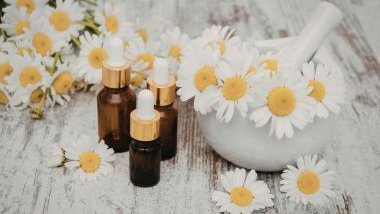 Encontre o seu propósito na vida com ajuda dos Florais