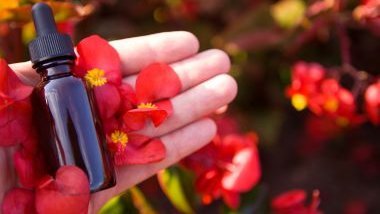 Imagem da palma de uma mão e sobre ela um vidro contador com óleo essencial e pequenas flores vermelhas.