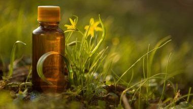 Cultive a alegria com o auxílio das essências florais