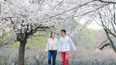 Imagem de um casal oriental, de mãos dadas, caminhando em um jardim, com árvores de cerejeira.