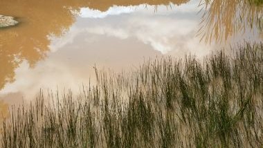Sonhar com água barrenta: saiba como interpretar o significado