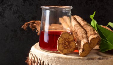 Ayahuasca e a expansão espiritual
