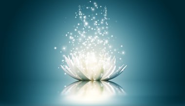 5 passos para desenvolver sua espiritualidade