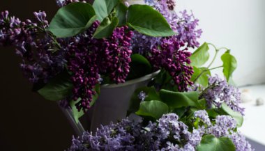 Feng Shui: use o poder das flores para encontrar o equilíbrio