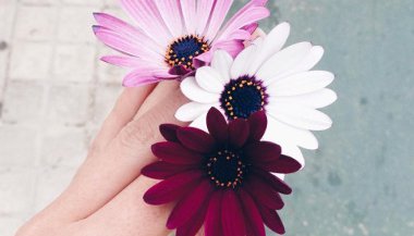 Wicca: o poder das flores