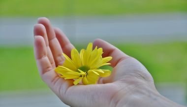 Horóscopo do dia de hoje (29/05): previsões dos signos para quarta-feira