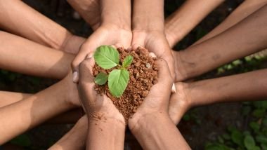 Imagem de várias mãos segurando um punhado de terra com uma muda de flor verde sobre ela.
