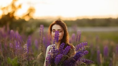 Imagem de uma mulher colhendo flores de lavanda em um lindo lavandário lilás.