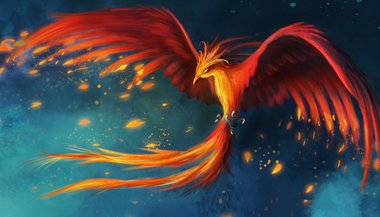 Renascendo como uma Fênix