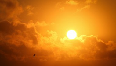 Sol na Casa 11: coletividade e originalidade em evidência