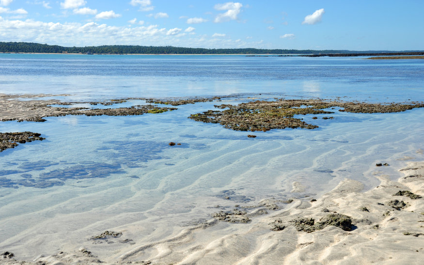Praia de Maragogi.