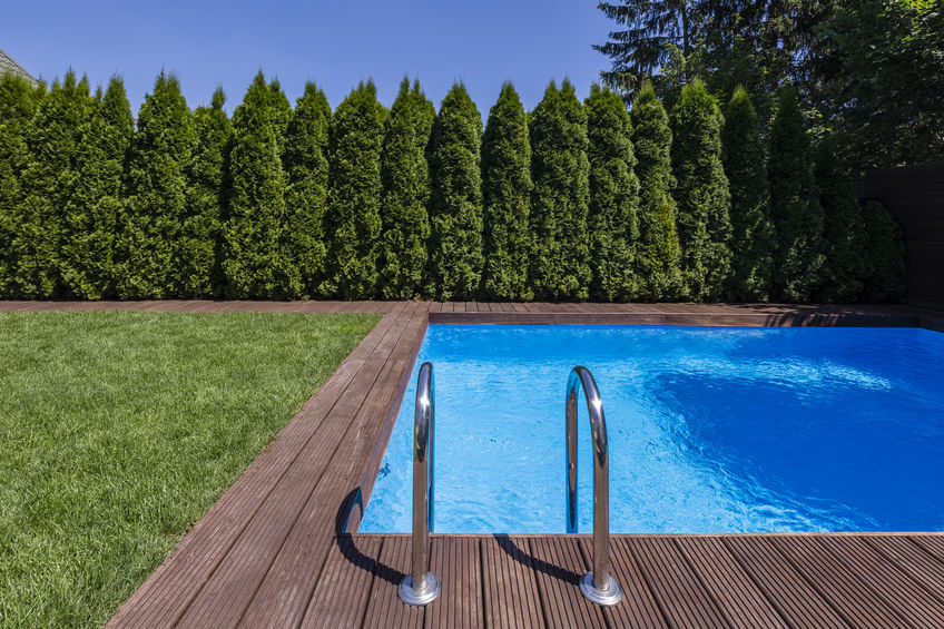 Pequena piscina meio a árvores 