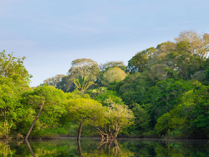 Pantanal.
