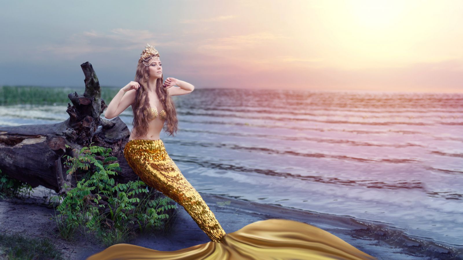 Sereia sentada em um tronco de árvore