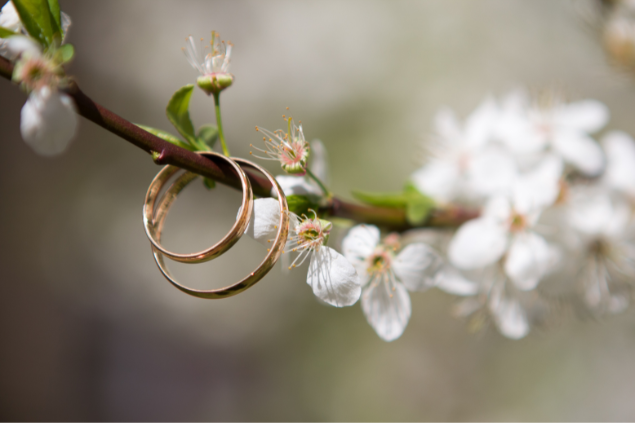 alianças penduradas em um caule de flor