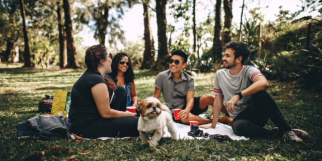 Amigos fazendo um piquenique no parque