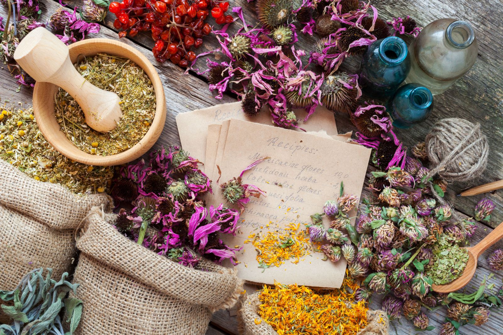 Diversas ervas em uma mesa com flores, potes de madeira e papéis com anotações