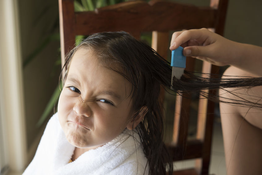 Criança Passando Pente Fino no Cabelo
