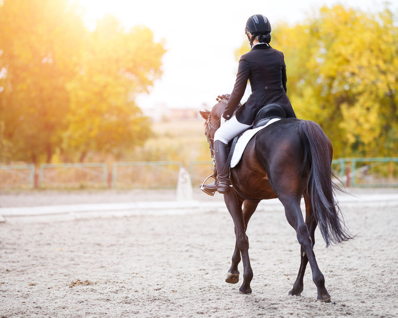 Mulher cavalgando em cavalo marrom