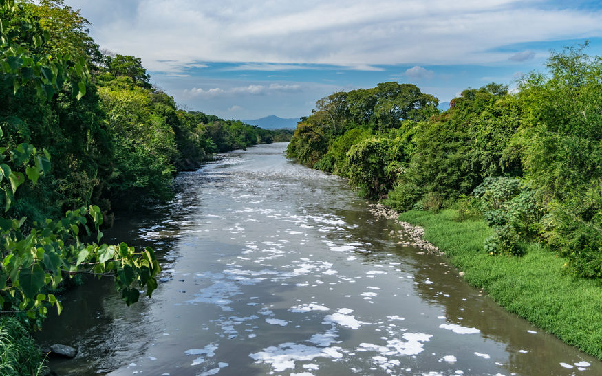 Rio parado e vegetação ao lado