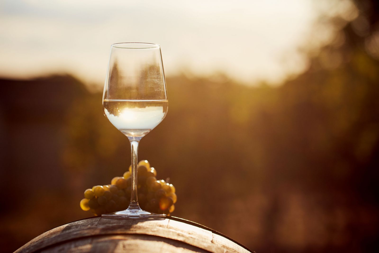 Taça de vinho branco em um barril