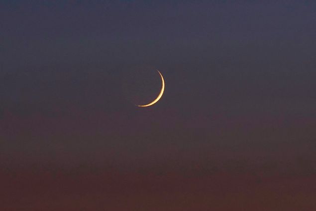 lua nova