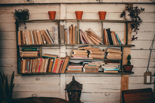 Estante com livros e vasos de plantas encostado na parede de uma sala