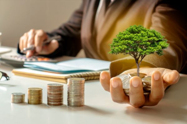 Pessoa estudando investimentos financeiros