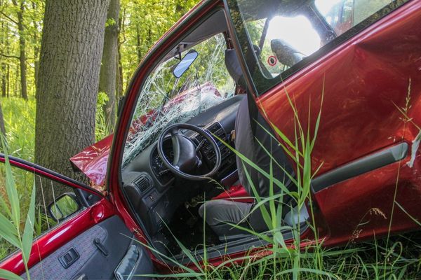 Batida de carro em área verde