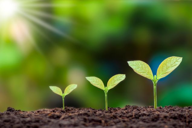 Imagem de três plantinhas cada uma em um tamanho na terra como se representasse o crescimento