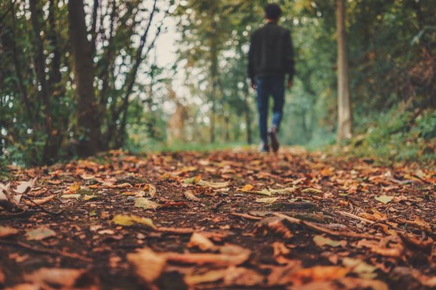 Imagem de um homem caminhando na floresta de costas para a tela