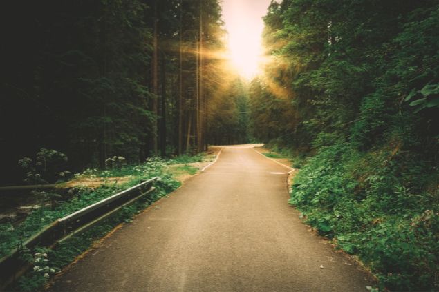 Imagem de um lindo caminho aberto e ao fundo a luz do Sol. A foto simboliza a abertura de caminhos pelo Exu Veludo.