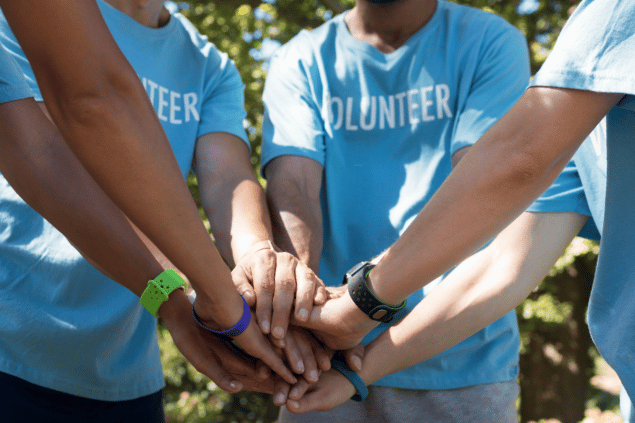 Grupo de trabalho voluntário