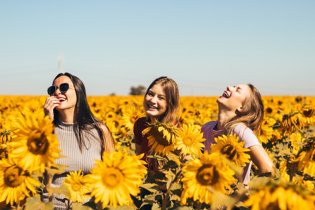 Três mulheres brancas num campo de girassóis com expressões sorridentes.
