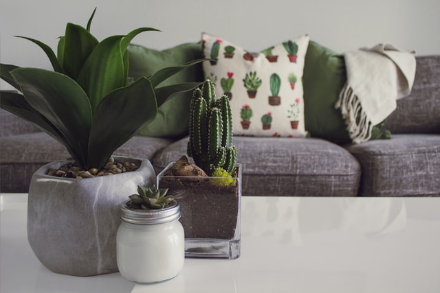 Sala com plantas e decoração verde.
