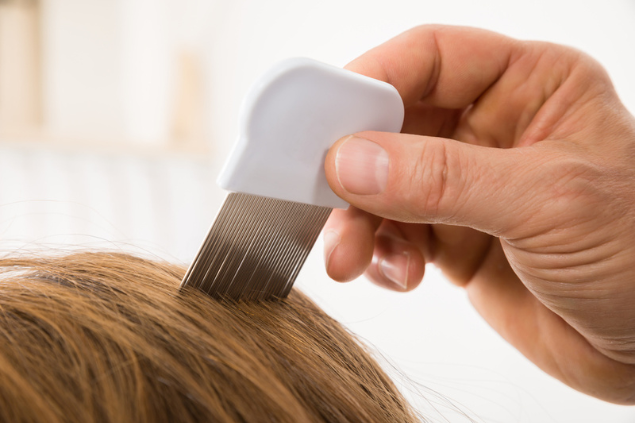 Mãe tirando piolhos do cabelo da filha com um pente fino