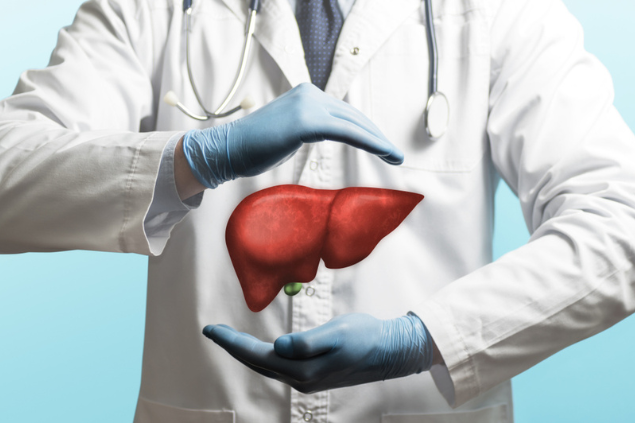 Médico segurando um holograma de um fígado