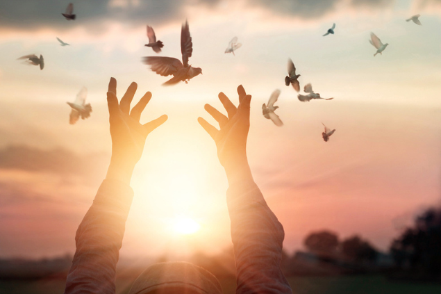 Mãos abertas, recebendo a energia do Sol e com várias pombas voando